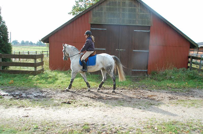 Tagesausritt Oktober 2008101.JPG